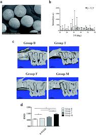 Check spelling or type a new query. Comparison Between Mandibular And Femur Derived Bone Marrow Stromal Cells Osteogenic And Angiogenic Potentials In Vitro And Bone Repairing Ability In Rsc Advances Rsc Publishing Doi 10 1039 C7ra07139f