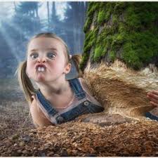 Pin On Funny Wallpaper