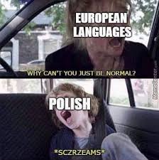 European Memes For Those Hungary For Some Dumb Comedy History Memes History Jokes Funny Cartoons