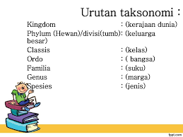 We did not find results for: Ppt Klasifikasi Makhluk Hidup Powerpoint Presentation Free Download Id 2271120