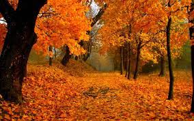 We have added the perfect accessories for your fall wardrobe! Autumn Scene Wallpapers Wallpaper Cave