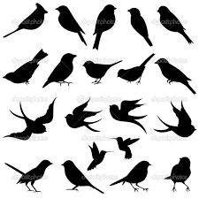 kus siluetleri vektor toplama stok illustrasyon 24686055 kus siluet kus kus cizimleri