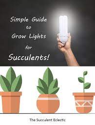 It can feel overwhelming and confusing to get succulents for your grow lights. Grow Lights For Succulents A Simple Guide The Succulent Eclectic Grow Lights For Succulents Grow Lights For Plants Succulent Grow Light
