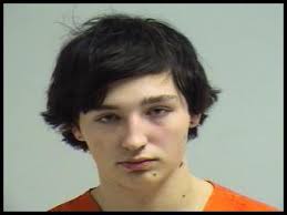 Babysitter Arrested after Reported Sexual Assault (REEDSBURG, WI) A  17-year-old male babysitter was arrested by Reedsburg Police after he  reportedly sexually assaulted the 8-year-old child he was babysitting.  Police were alerted on