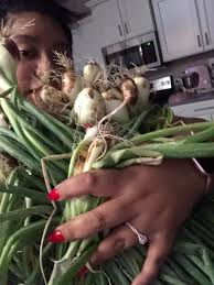 Here's all my onions !!!