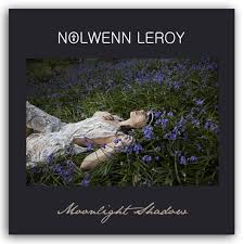 Nolwenn leroy je t aimais je t aime et je t aimerai francis cabrel cover le festival de paris. Ultratop Be Nolwenn Leroy Moonlight Shadow