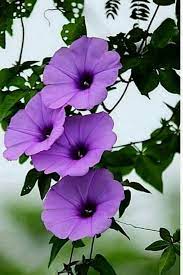 We did not find results for: Pin On Purple