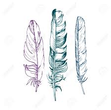 It is khandi paper, made in south india from 100% recycled cotton rag. Set Of Ink Drawing Feathers Hand Drawn Royalty Free Cliparts Vectors And Stock Illustration Image 57606097