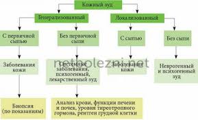 Chto Mozhet Esli Cheshetsya Chem Mozhno Snyat Zud Lekarstva I Narodnye Sredstva O Kakih Zabolevaniyah Govorit Zud Kozhi Tela