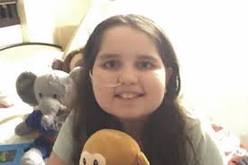 Fundraiser by Janis Rogers : A Van for Ellie & Her Wheelchair