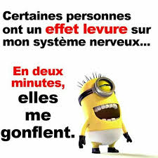 Prendre Sur Soi Zen Attitude Minion Humour Blague Minion Blague