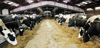 People on the lower end of that spectrum, the bottom 10% to be exact, make roughly $16,000 a year, while the top 10% makes $122,000. How To Start Dairy Farming In Kenya And Make It A Multi Million Business Medilink Vet Suppliers