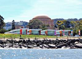 This is the wind, wave and weather forecast for crissy field in california, united states. Crissy Field Center Project Frog Inhabitat Green Design Innovation Architecture Green Building