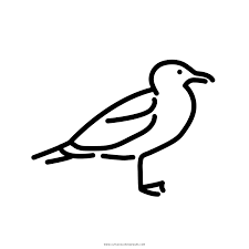 See the presented collection for seagull coloring. Seagull Coloring Page Ultra Coloring Pages