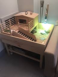 Luxury Tortoise Table Tortoise Table Tortoise House Tortoise Habitat