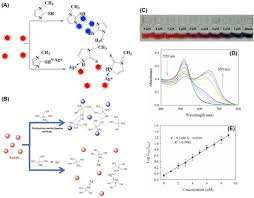 Image result for Reaction Instruments 685A
