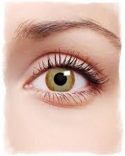 Colourvue dragon eyes contact lenses will not only make your eyes yellow but also change the shape of your pupil to resemble dragon's or reptile's! Colored Contact Lenses For Halloween And Carnival Karneval Universe