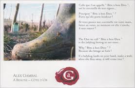 Image result for Burgundy Red 2004 S6