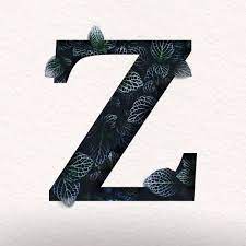 Get great ideas here plus your alphabet worksheets a z pdf format. Letter Z Name Dp Download Shayarimaza