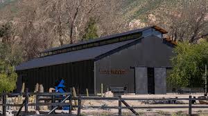 Museo - Arte al límite