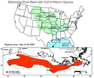 The Gulf of Mexico Dead Zone