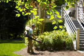 Alternative pest management is one of. Mosquito Control Chapel Hill Mosquito Tek 919 229 4429
