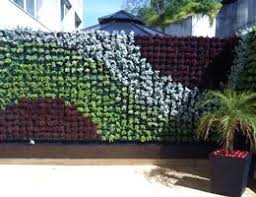 Jardines Verticales Y Muros Verdes Con Tecnologia Modular Hagalo Usted Mismo En Mexico Jardines Verticales Fachada Verde Muros Verdes Artificiales