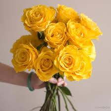 Your flower rose stock images are ready. Bikini Yellow Roses Diy Wedding Flowers Flower Moxie