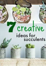 Find out how to help them thrive in your garden or on your patio. 7 Ideas For Decorating With Succulents Dollar Store Crafts