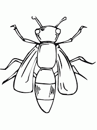 We have all kinds of insects on this website. Free Printable Bug Coloring Pages For Kids Insect Coloring Pages Bug Coloring Pages Bee Coloring Pages