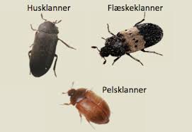 Hus med smarta lösningar som håller nere priset. Klannere Bekaempelse Af Klannere I Danmark Kiltin A S