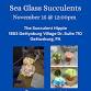 Sea Glass Succulents @ The Succulent Hippie event image