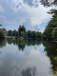 Directions To Lake Harmony Best 10 Trails And Hikes In Lake Harmony | Alltrails