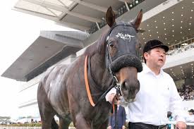 東スポ競馬 - News update