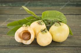 Image result for Syzygium jambos