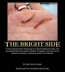 Always Look On The Bright Side Of Life Very Demotivational Demotivational Posters Very Demotivational Funny Pictures Funny Posters Funny Meme