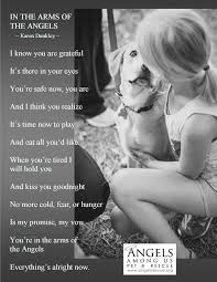 Adopt And Give Them A Home Help Save Or Make A Difference In An Animals Life Angels Among Us Rescue Animals I Love Dogs Dog Quotes