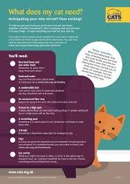 It's harder to find places where a cat sprays, however, since it can be a small. Preparing For Your New Cat Or Kitten Checklist