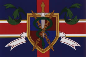 Euro Britannia Villains Wiki Fandom Set in an alternate timeline, the series focuses on how the former prince lelouch vi britannia obtains a power known as geass and decides to use it to obliterate the holy britannian empire, an imperial monarchy and a superpower. euro britannia villains wiki fandom