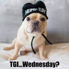 50 Kickass Funny Wednesday Memes To Make Hump Day Better Funny Wednesday Memes Wednesday Memes Funny Good Morning Memes