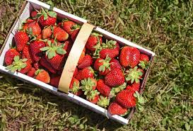 Wash your hands for 20 seconds with warm water and soap. How To Store Strawberries Strawberry Storage Tips