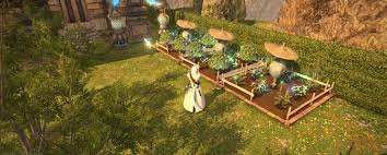 Rudo Fz 日記 3 1 畑の交雑結果 クルザス茶葉 プチキャベツ オールドワールドフィグ Final Fantasy Xiv The Lodestone