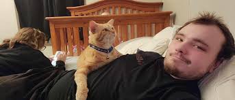 Hi I am still missing our cat Ezio he went missing late June early July  last seen