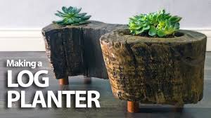 This is because cacti's roots are often not too long, and if planted in a large container, they will stay in the middle of it. Turning A Log Into A Planter Diy Youtube
