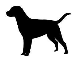 Black Lab Head Silhouette Black Lab Detailed Lab Head Decal Unique, lightweight eyewear from silhouette, with the highest standards of aesthetics and comfort. black lab head silhouette black lab
