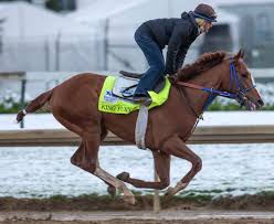 When is the kentucky derby 2021? King Fury Derby Horse S Jockey Trainer Owner Bloodline More