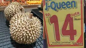 Berwarna kuning pucat dengan rasa pahit dan bertekstur lembut. 5 Fakta J Queen Durian Termahal Seharga Rp 14 Juta Kumparan Com