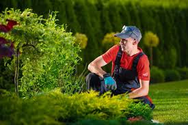 Maybe you would like to learn more about one of these? About Us Sprinkler Master Repair We Fix Lawn Sprinklers