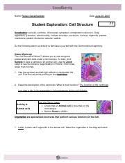 Student exploration cell structure answer key. Gizmo 1 Cell Structure Revised 2020 2 Docx Name Kruti Thakkar Date August 3 2020 Student Exploration Cell Structure Vocabulary Cell Wall Course Hero