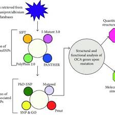 Flow Chart Of Oca 1 4 Gene Analysis Download Scientific
